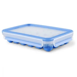 Tefal Masterseal Fresh Ice box