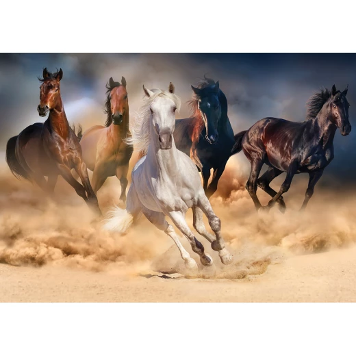 أحجية 1000 قطعة, بتصميم الخيول من كي اس جيمز - كي اس جيمز - Image 2
