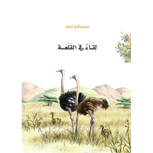 سلسلة الغاز الغابة 8، لقاء في القلعة سلسلة الغاز الغابة 8، لقاء في القلعة