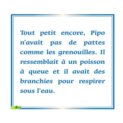 كتاب الاطفال باللغة الفرنسية, أين منزلي - Image 3
