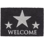 Astra Coco Glitter, Silver & Black Color 60*40 Cm - Astra