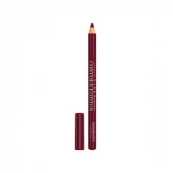 Bourjois Plum it Up! Violet Lip Liner Contour Edition Long Lasting Makeup Essential 1.14g Flawless Lip Look