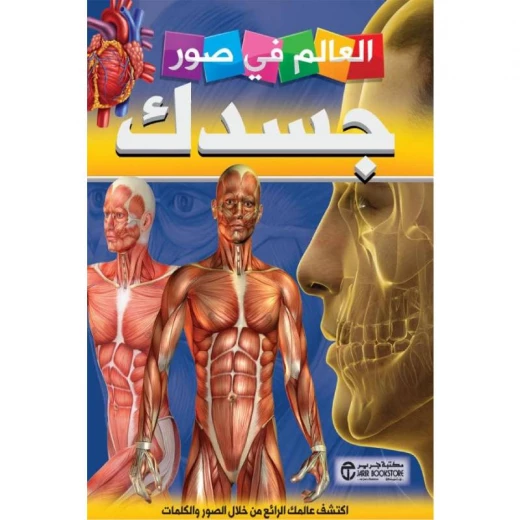 العالم في صور, جسدك