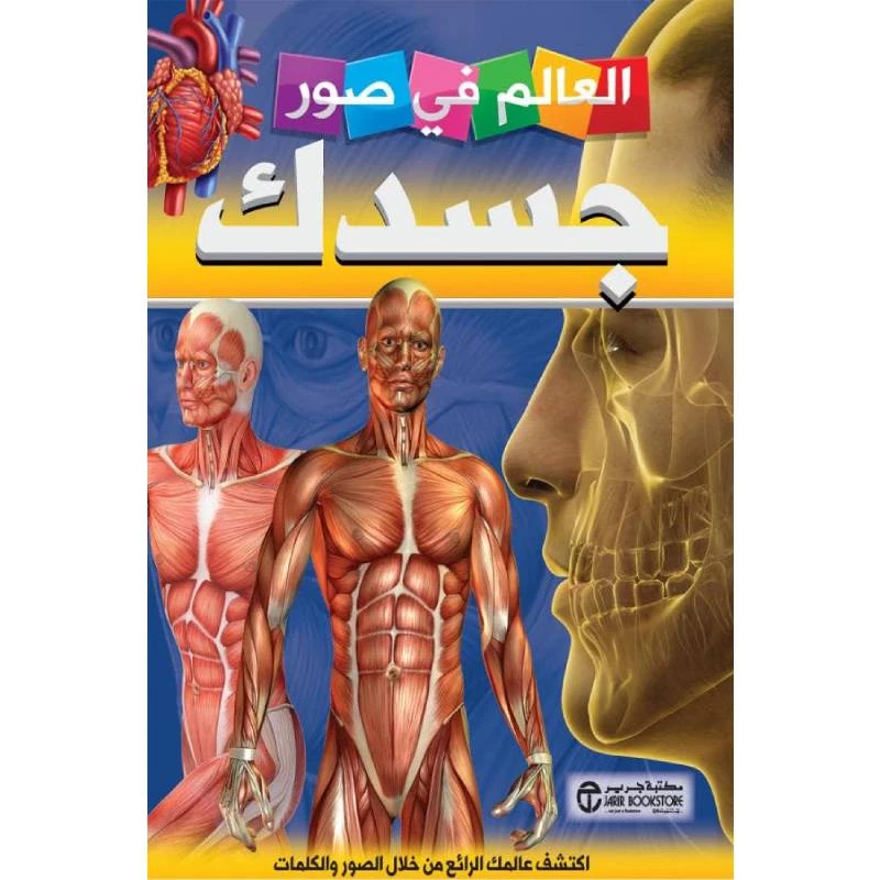 العالم في صور, جسدك