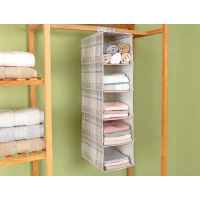 Madame Coco Luisa 5 Section Cabinet Organizer
