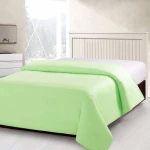 ARMN Vero Queen Size Duvet Cover Color Light Green - Armn