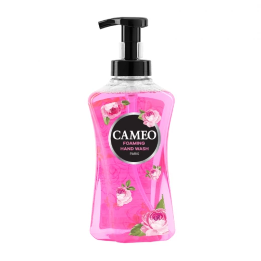 Cameo Foaming Hand Wash Paris 500ml Cameo Foaming Hand Wash Paris 500ml