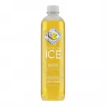 مياه ايس الفوار بنكهة الاناناس و جوز الهند 502.8 مل - Sparkling Ice