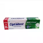 Ciptadent toothpaste 75g+ Toothbrush, Green - Ciptadent