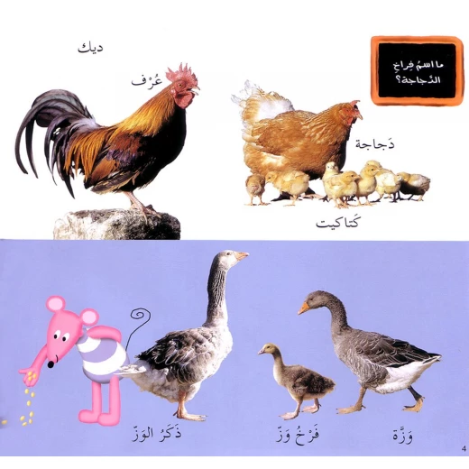 Photo Images of the Animals in Arabic script - Image 2