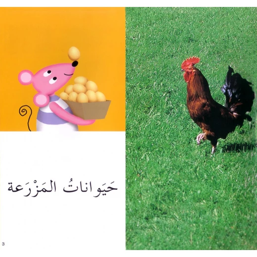Photo Images of the Animals in Arabic script - Image 4
