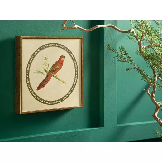 لوحة بببغاء بقياس 20*20 سم من انجلش هوم لوحة بببغاء بقياس لوحة بببغاء بقياس 20*20 سم من انجلش هوم لوحة بببغاء بقياس