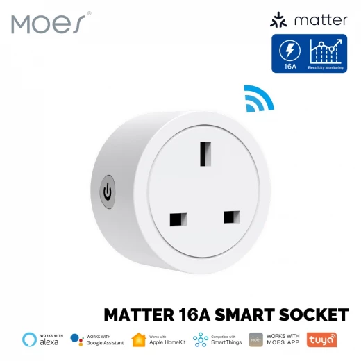 Moes Smart Matter Plug Moes Smart Matter Plug