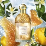 جيرلان أكوا أليغوريا نيتار دي سول ماء تواليت 75 مل عطر عسل وزهور للنساء - غيرلان