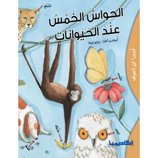 الحواس الخمس عند الحيوانات الحواس الخمس عند الحيوانات الحواس الخمس عند الحيوانات الحواس الخمس عند الحيوانات