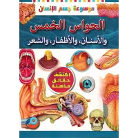 An applied experiment on the five senses