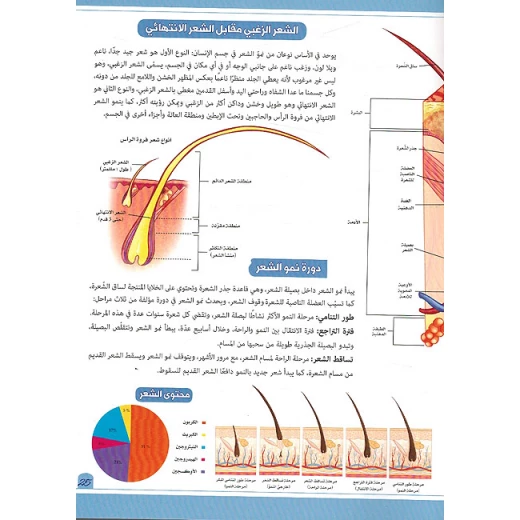 تجربة تطبيقية عن الحواس الخمس - Image 2