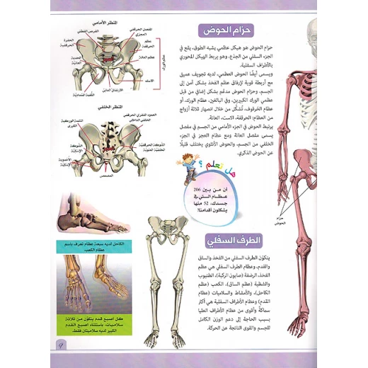 Practical experiment on the skeleton - Image 2