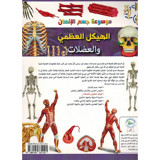 Practical experiment on the skeleton - Image 3