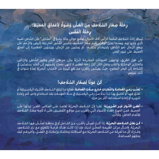 قصة : سباق السلاحف إلى البحر - Image 3