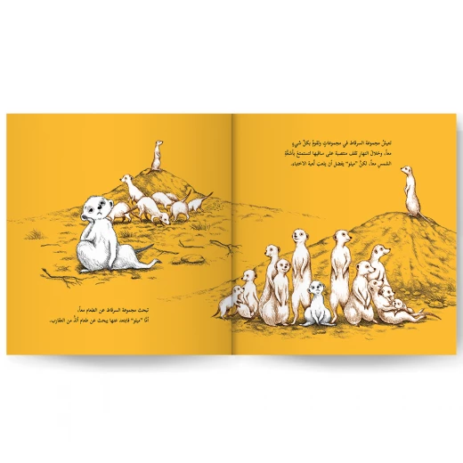 Story: Together under the sun - Image 4