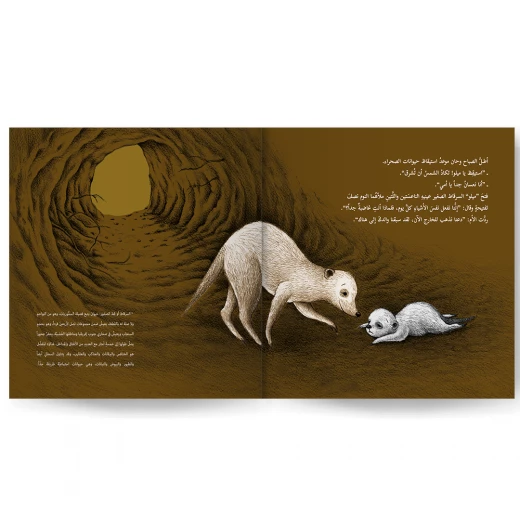 Story: Together under the sun - Image 3