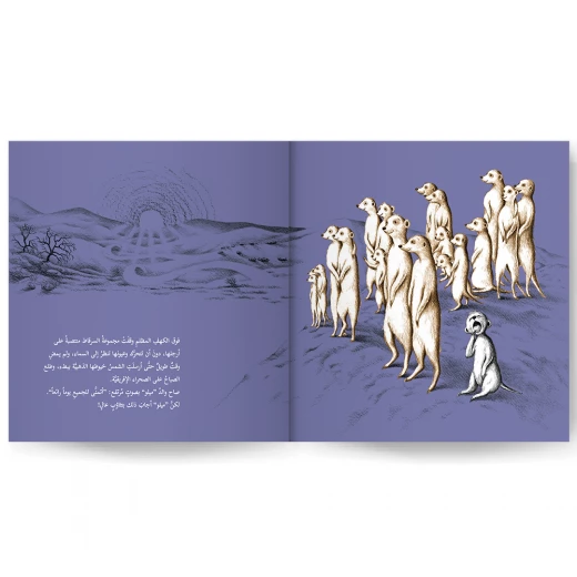 Story: Together under the sun - Image 2