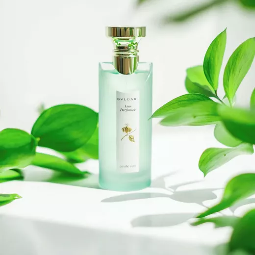 Bvlgari Thé Vert Eau de Cologne 75ml Spray for Women: Refreshing Floral Fragrance with Bergamot & Mandarin - Bvlgari - Image 2