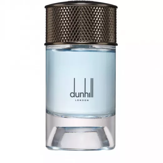 دنهل نورديك فوجير ماء عطر 100 مل: عطر خشبي عطري للرجال مع ملاحظات العنبر والعود والجلد وشجرة البن - دنهيل - Image 2