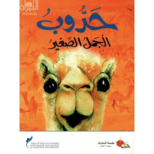 معارف: حدوب الجمل الصغير معارف: حدوب الجمل الصغير