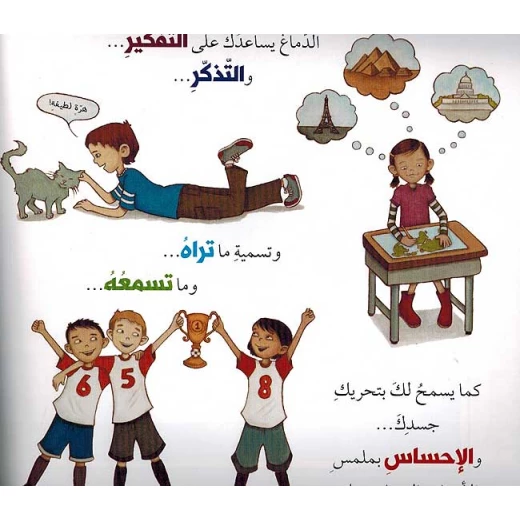 دماغ عجيب ومرن مدده وطوره - Image 3