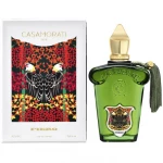 عطر كازاموراتي فييرو للرجال 100 مل بخاخ عطر حمضيات ونعناع عطر أنيق - كازاموراتي
