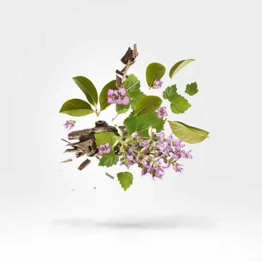 عطر زيرجوف كي بلو هوليزم للجنسين 1.7 أونصة عطور أو دي بارفان للرجال والنساء - زيرجوف - Image 2