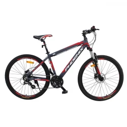 Phoenix Bicycle Color Black