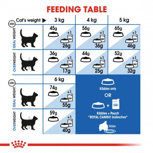 Royal Canin Indoor Dry Cat Food, 2kg - Royal Canin - Image 5