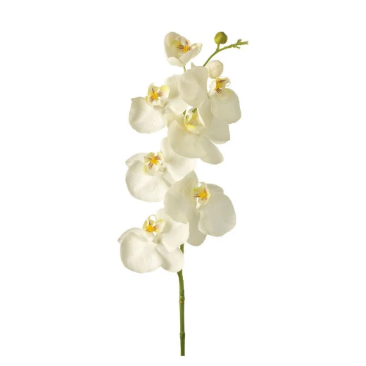 Leonardo Fiore Orchidea Dia 85 x 15 x 10 cm White Leonardo Fiore Orchidea Dia 85 x 15 x 10 cm White