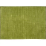 APS Placemat Apple Green 45x33cm - APS