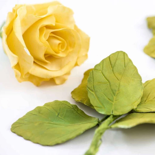 طقم قوالب أوراق الورد من ديكورا يتكون من 4 قوالب بلاستيكية لتشكيل أوراق الورد - ديكورا - Image 3