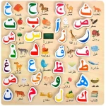 لوحة أحجية الحروف العربية الخشبية لوحة تعليمية منتسوري لتعلم الحروف مع صور وكلمات متطابقة - سنسوريا