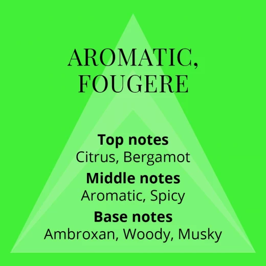 MiltonLloyd Colour Me Volt Cologne for Men 90ml Fresh Aromatic Fougere Fragrance - Milton Lloyd - Image 2