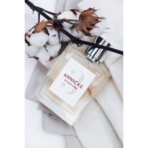 عطر أنيك 3 أو دو بارفان بخاخ 100 مل من إيت آند بوب - إيت آند بوب - Image 3