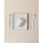 Madame COCO Camilla Picnic Set Ecru, Durable Plastic Tableware, Includes 6 Plates, Glasses, Forks, Spoons & Knives, Compact 32x24x10 cm Box - Madame COCO