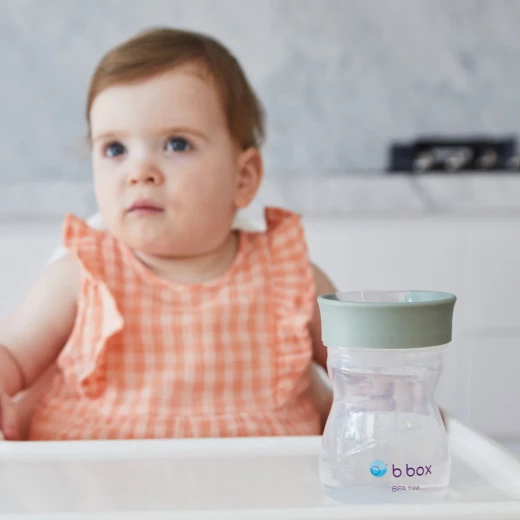 b.box Toddler Training Cup, BPA-Free Transition Cup for Babies & Toddlers, Drinking Rim with Water Window, No Spout or Straw, 12+ Months, Interchangeable Lid System Sage color - B.Box - Image 3