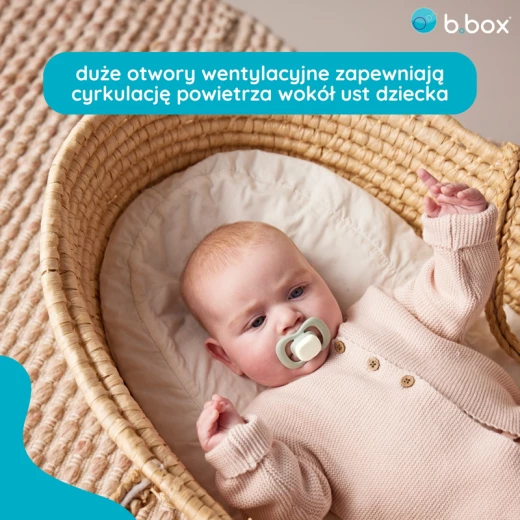 b.box Pacifier Silicone 2 Twin Pack, Blush/Latte | Soft Orthodontic Soother for Newborns | Lightweight & Durable Design | 0m+ - B.Box - Image 2