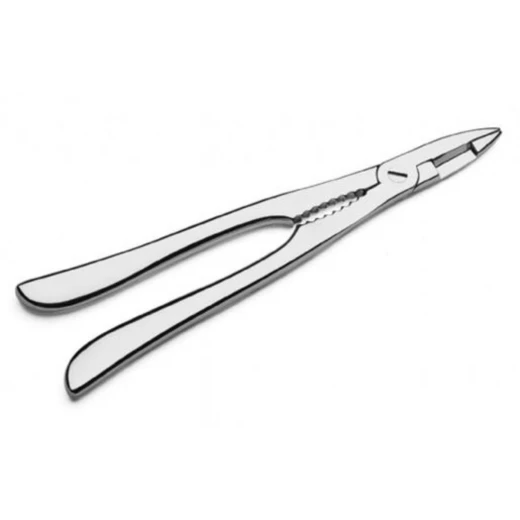 Pintinox Seafood Cracker 19cm Stainless Steel Serving Utensil Pintinox Seafood Cracker 19cm Stainless Steel Serving Utensil