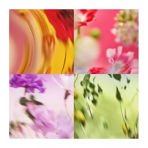 شانيل شانص أو تندر 150 مل عطر زهري للنساء بالياسمين والورد | عطر آسر - شانيل - Image 5