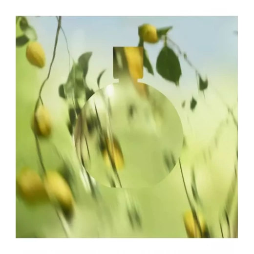 شانيل تشانس أوو فريش أو دي بارفان 50 مل: عطر نسائي زهري خشبي متألق - شانيل - Image 6