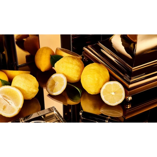 دولتشي اند غابانا ذا ون جولد انتنس عطر للرجال 50 مل عطر فاخر للمساء - دولتشي اند غابانا - Image 3