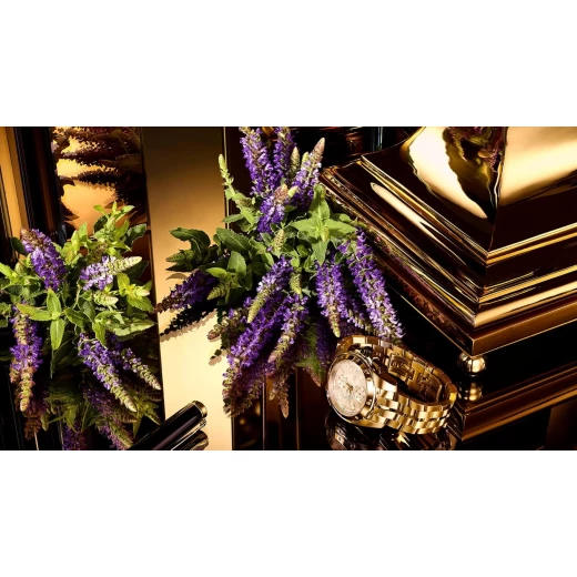 دولتشي اند غابانا ذا ون جولد انتنس عطر للرجال 50 مل عطر فاخر للمساء - دولتشي اند غابانا - Image 4