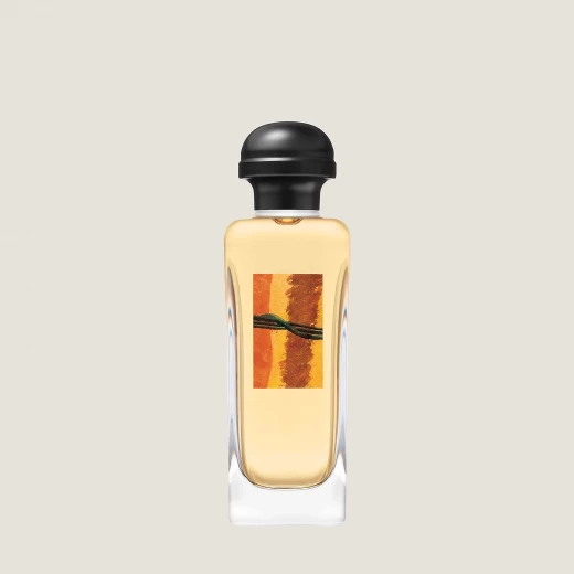 عطر هيرمس روكابار أو دي تواليت 100 مل رجالي خشبي عنبري عطر كلاسيكي - هيرميس - Image 3